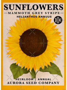 sunflower seed packet, sunflower decor ideas
